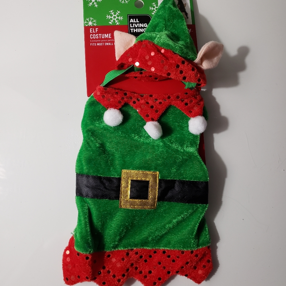 Small costume Elf
